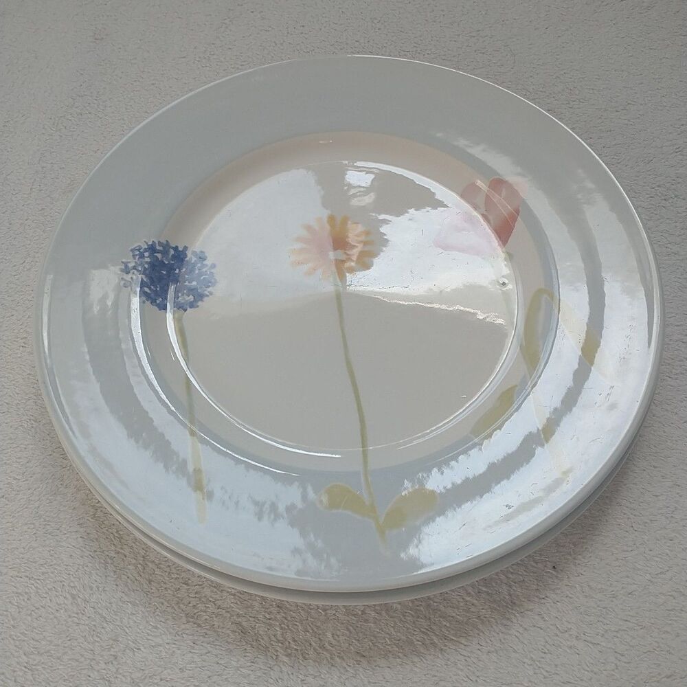 Royal Stafford Watercolour Fine Earthenware Dinner Plate Floral Pastel 2x 11"